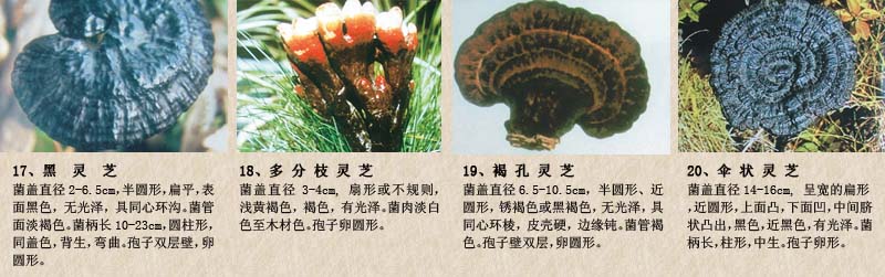 圖片關(guān)鍵詞 圖片關(guān)鍵詞