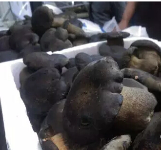 圖片關鍵詞 圖片關鍵詞