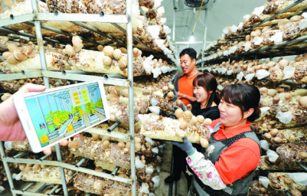 圖片關鍵詞 圖片關鍵詞