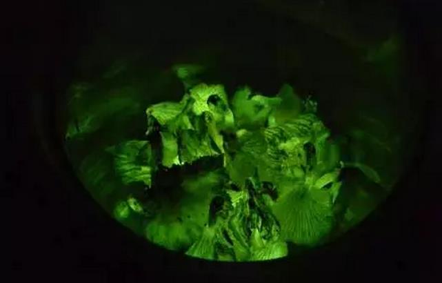 圖片關鍵詞 圖片關鍵詞