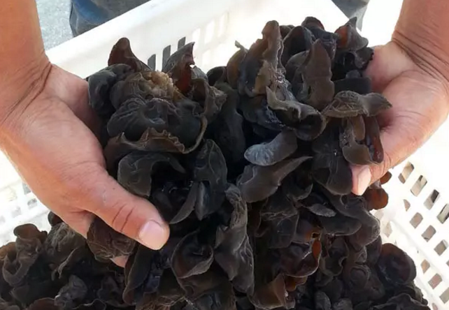 圖片關鍵詞 圖片關鍵詞