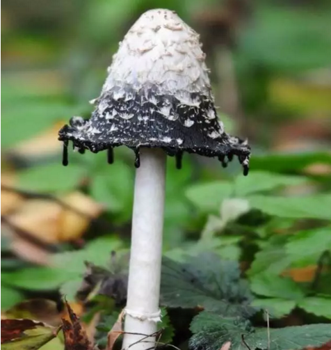 圖片關鍵詞 圖片關鍵詞