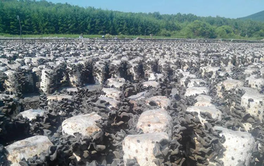 圖片關鍵詞 圖片關鍵詞