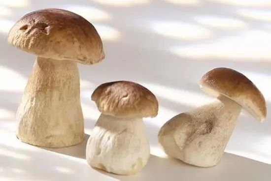 圖片關鍵詞 圖片關鍵詞