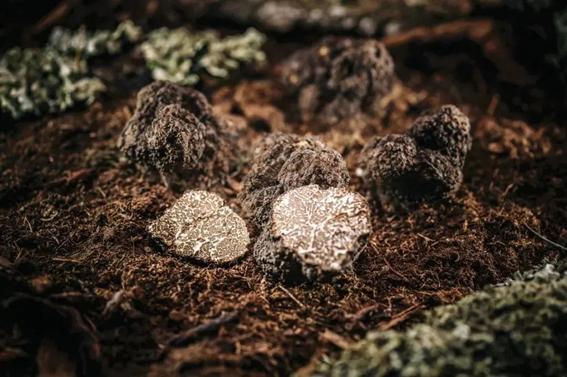 圖片關鍵詞 圖片關鍵詞