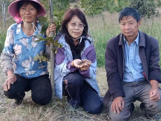 圖片關鍵詞 圖片關鍵詞