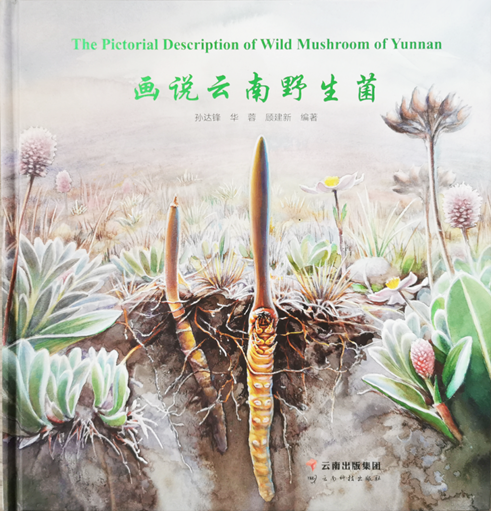 圖片關鍵詞 圖片關鍵詞