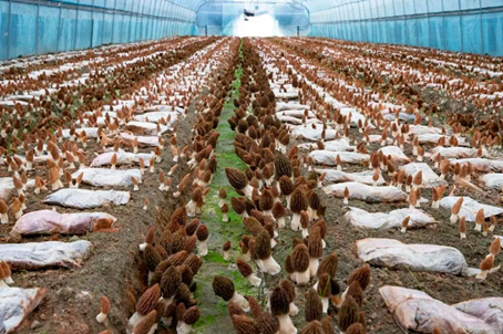 圖片關鍵詞 圖片關鍵詞