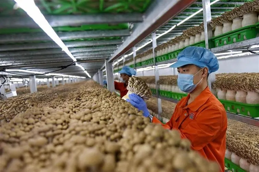 圖片關鍵詞 圖片關鍵詞