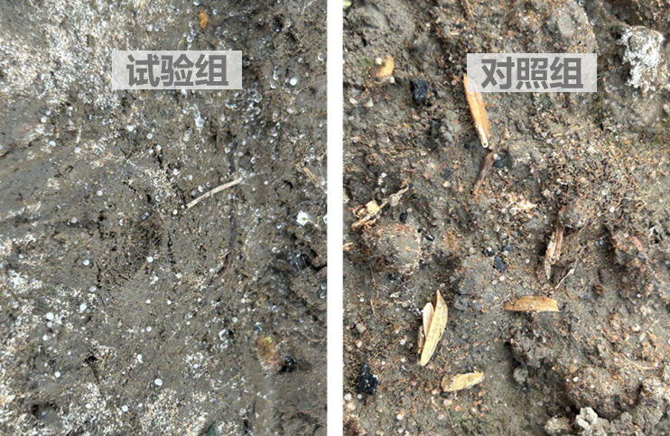 圖片關鍵詞 圖片關鍵詞