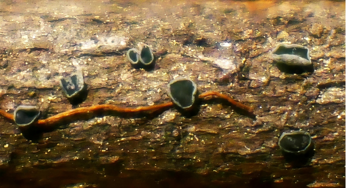 圖片關(guān)鍵詞 圖片關(guān)鍵詞