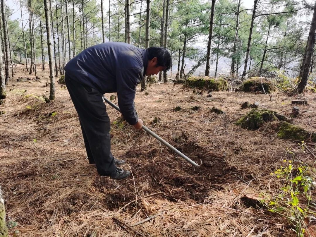 圖片關鍵詞 圖片關鍵詞