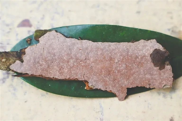 圖片關鍵詞 圖片關鍵詞