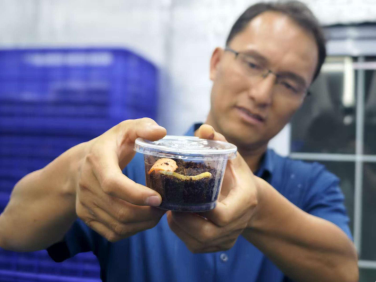 圖片關鍵詞 圖片關鍵詞