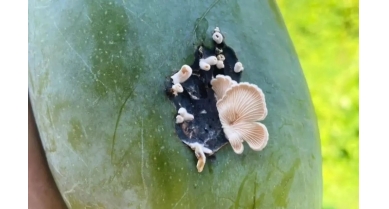 行業(yè)動(dòng)態(tài)